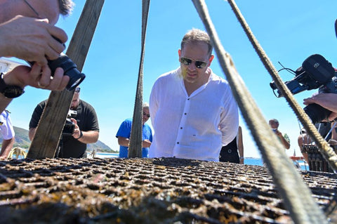 RIEMERSIONE DELLE 370 BOTTIGLIE DI ELIXIR FALERNUM SOTTO GLI OCCHI DI ANDREA PETRONE E DEI GIORNALISTI PRESENTI